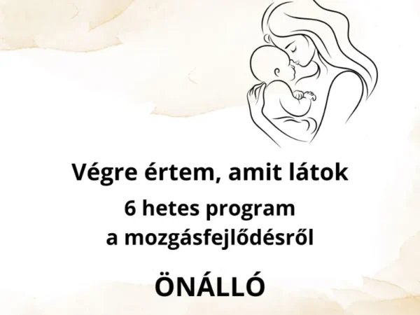Végre értem, amit látok- ÖNÁLLÓ
